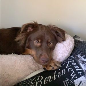 Meet your Posher, Tasha